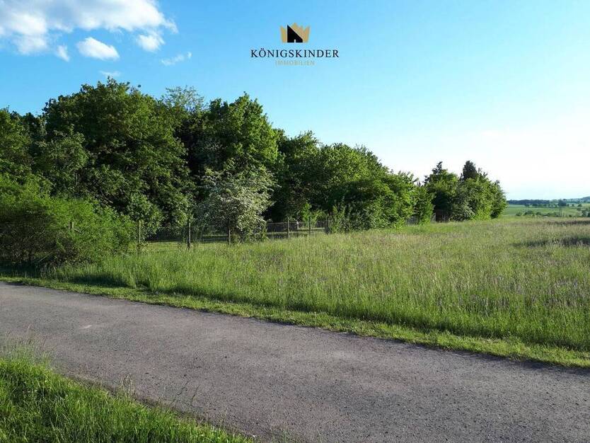 Vielfältiges Gartengrundstück in Altingen-991?m² für Naturgenuss, Gartenfreude und kreative Projekte