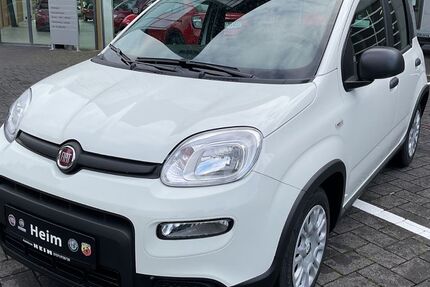Fiat Panda 1.200 km 15.500 € Tübingen 72072