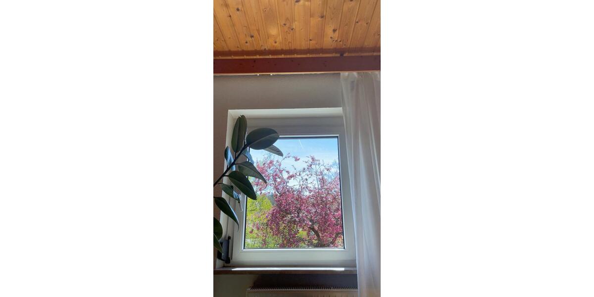 Einfamilienhaus Böblingen - 5.5 Zimmer, 170 m&sup2;, 490.000&euro; | Angebot:26634548