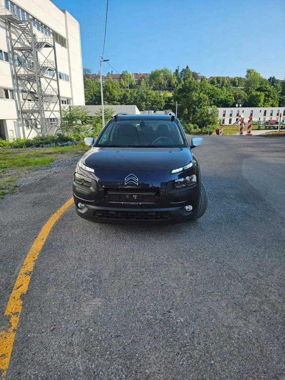 C4 Cactus