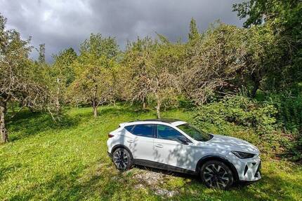 Obstwiese mit Hütte am Fuße der Achalm zu verkaufen