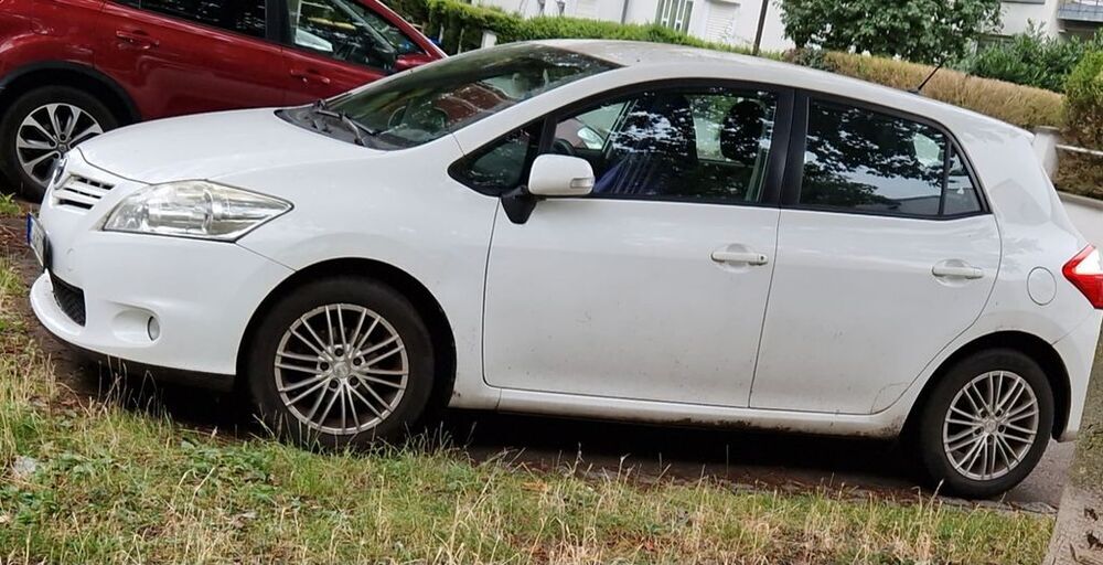 Auris