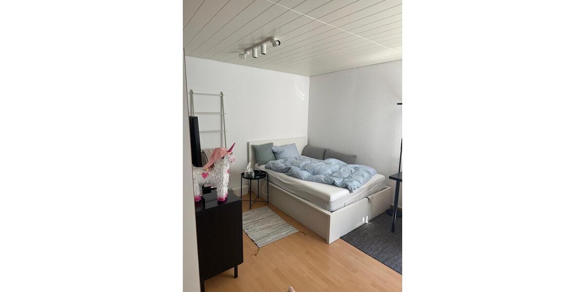 1 Zimmer Wohnung mi Balkon zimmer