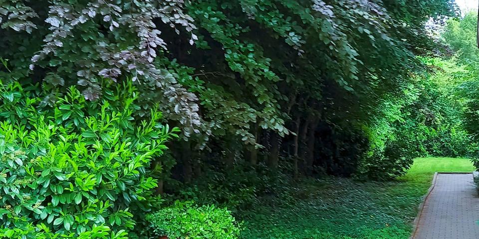 Etagenwohnung Pforzheim Dillweißenstein - 3 Zimmer, 80 m&sup2;, 399.000&euro; | Angebot:24651636