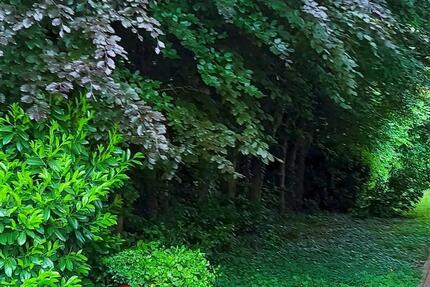 Wohnung Pforzheim Dillweißenstein - 3 Zimmer, 80 m&sup2;, 399.000&euro; | Angebot:24651636