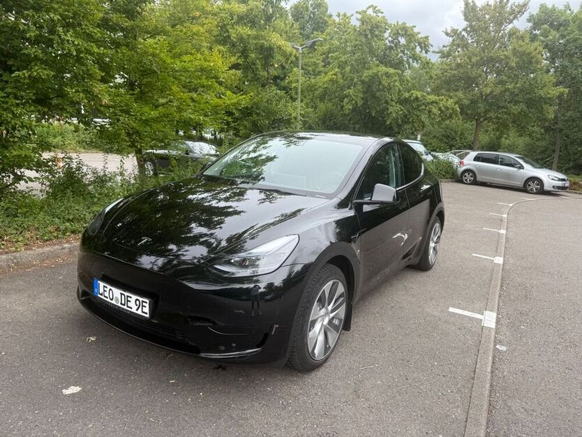 Model Y