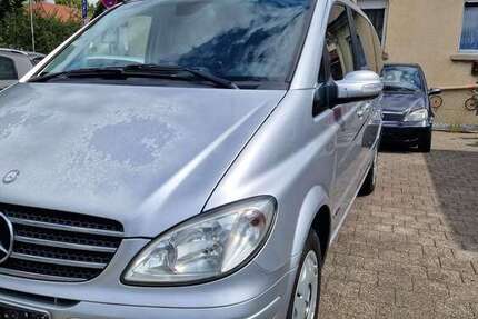 Mercedes Viano
