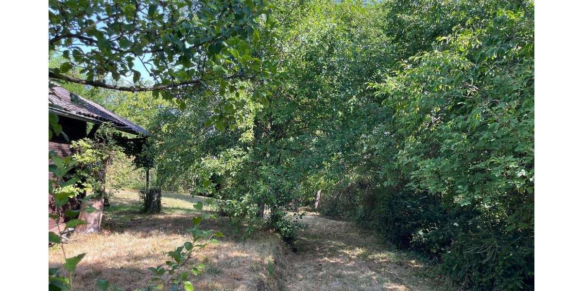 Grundstück Aidlingen - 59.000&euro; | Angebot:27003522