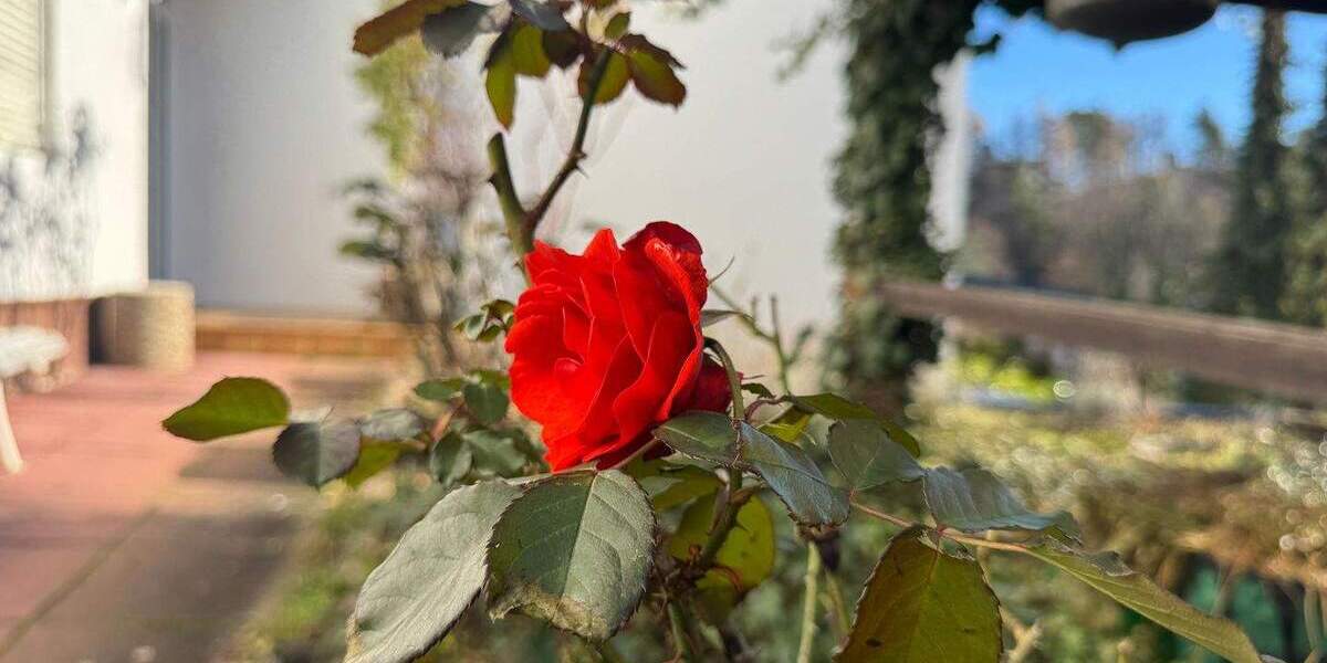 Doppelhaushälfte Böblingen - 6 Zimmer, 157 m&sup2;, 898.000&euro; | Angebot:23974307