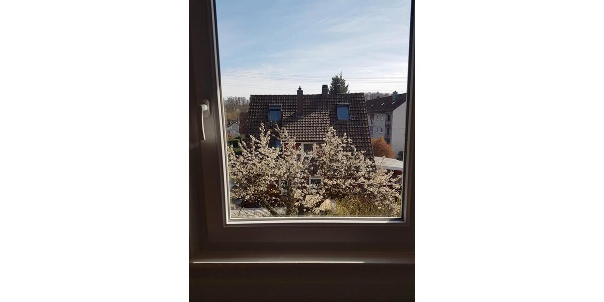 Dachgeschoßwohnung Mühlacker - 3 Zimmer, 59 m&sup2;, 600&euro; | Angebot:26113556