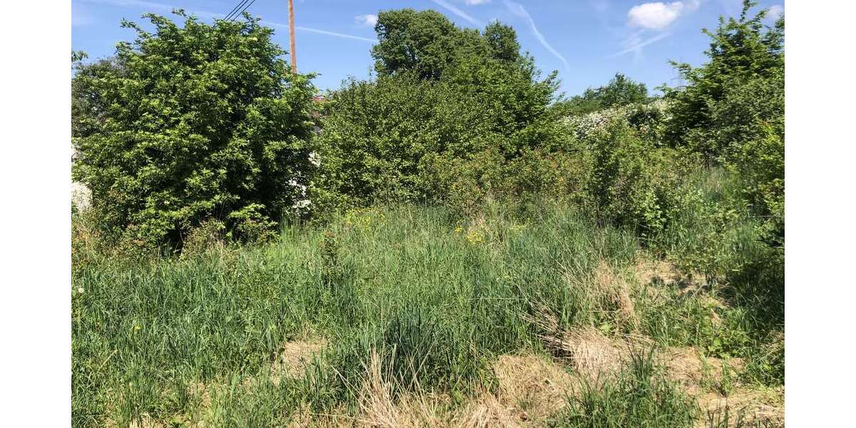 Grundstück zu verkaufen in Reudern 220.000 € 275 m² zimmer