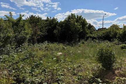 Grundstück Kernen im Remstal Rommelshausen - 315.625&euro; | Angebot:25802182