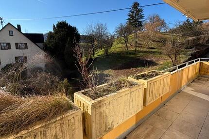 Renovierte 3-Zi.-Whg. mit Balkon & TG-Stellplatz in ruhiger Lage 3 zimmer