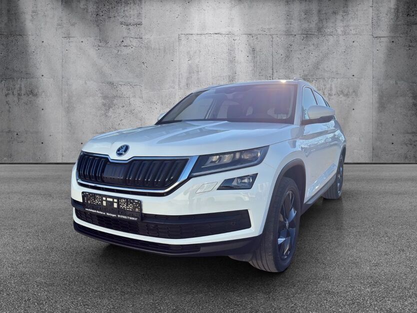 Skoda Kodiaq 110.500 km 22.990 € Nürtingen bei Stuttgart 72622