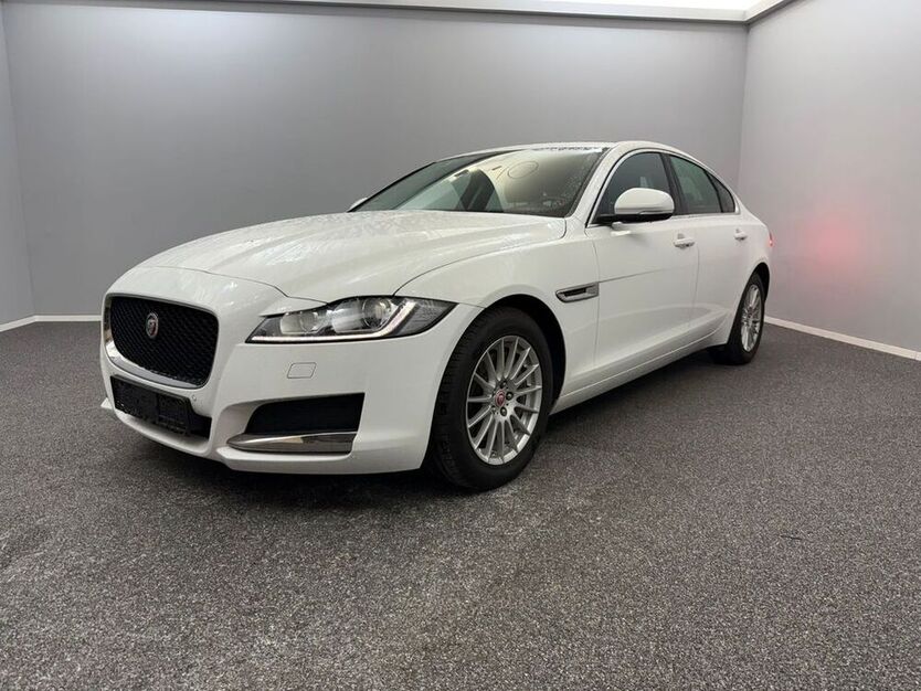 XF