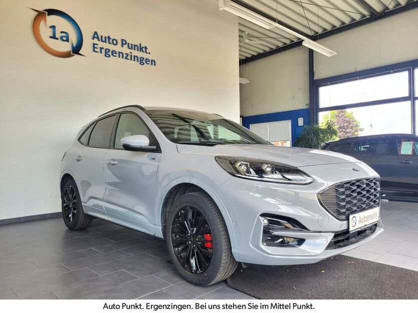 Kuga