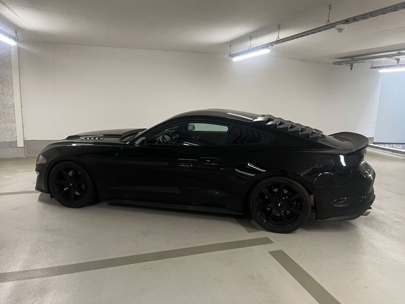Mustang