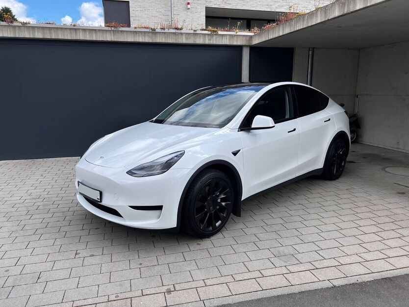 Model Y