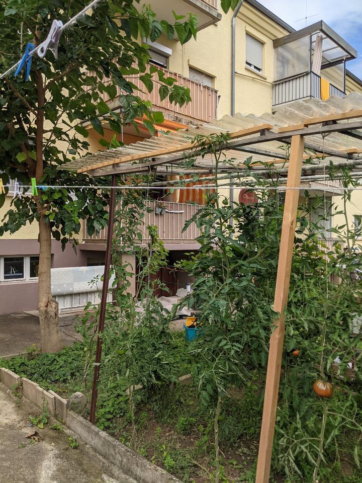 Weststadt: 3-Zimmer-Wohnung mit Gartenanteil