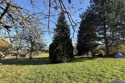 Haus zum Kaufen in Neuhausen auf den Fildern 1.090.000 € 313.85 m² 11 zimmer