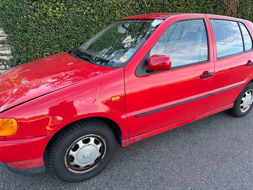 Polo
