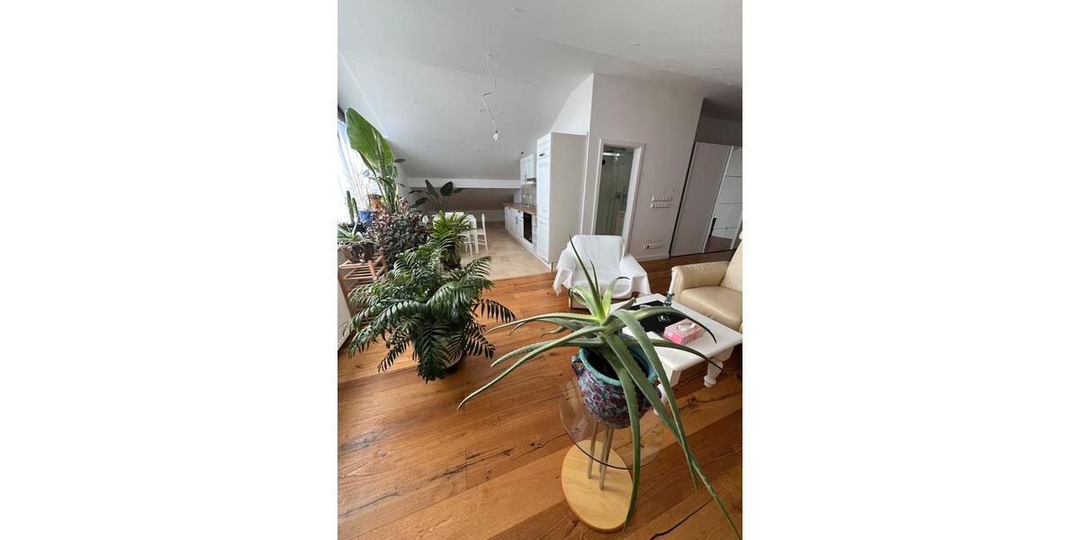 Dachgeschoßwohnung Pforzheim Dillweißenstein - 1 Zimmer, 58 m&sup2;, 800&euro; | Angebot:24805968