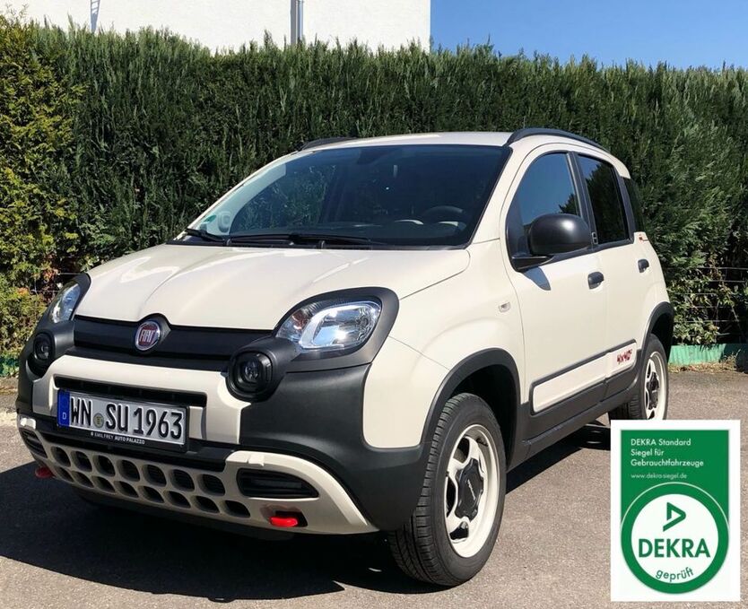 Panda