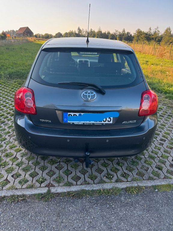 Auris