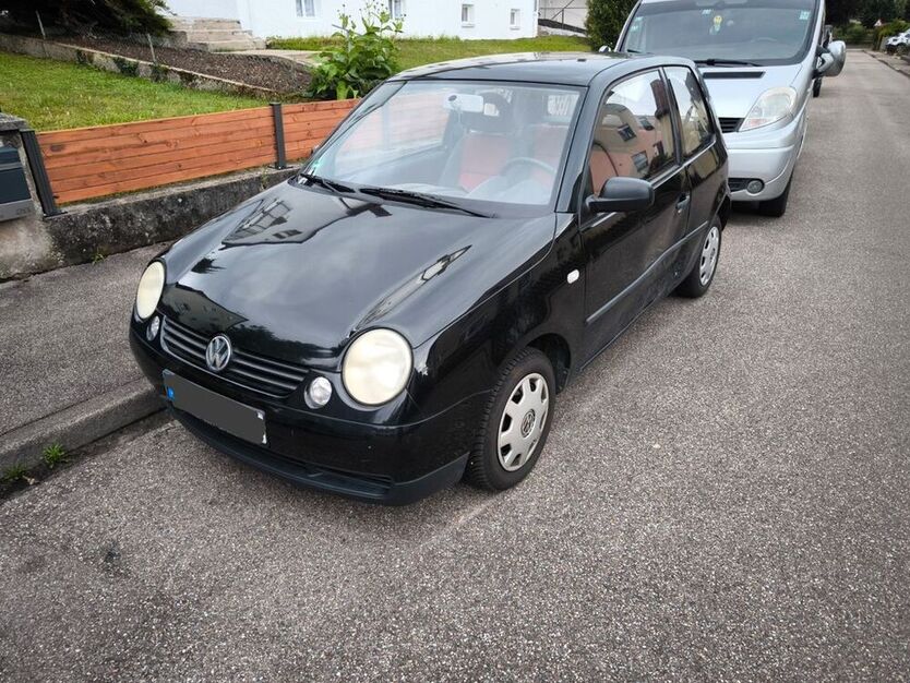 Lupo
