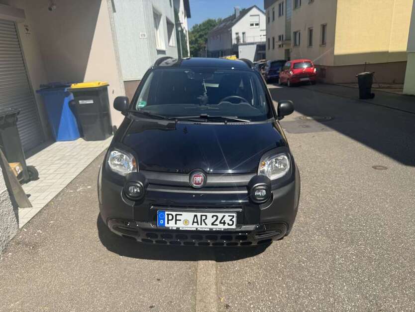 Panda