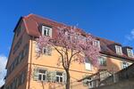 Maisonettenwohnung Schwieberdingen - 5 Zimmer, 119 m&sup2;, 1.785&euro; | Angebot:26458240