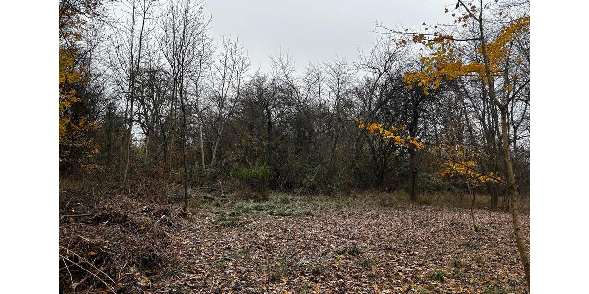 Grundstück Esslingen am Neckar Oberesslingen - 200&euro; | Angebot:23685293