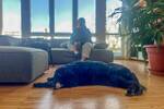 Gewerbeobjekt Böblingen Böblingen (Stadt) - 600&euro; | Angebot:26555584