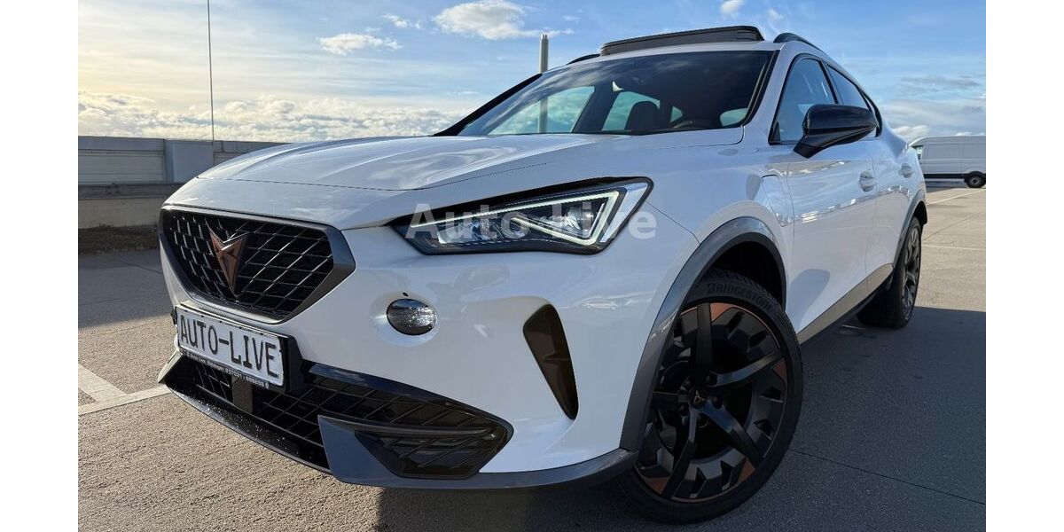 Cupra Formentor 80.326 km 25.990 &euro; Böblingen/Stuttgart 71034