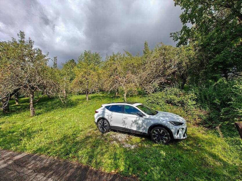 Obstwiese mit Hütte am Fuße der Achalm zu verkaufen