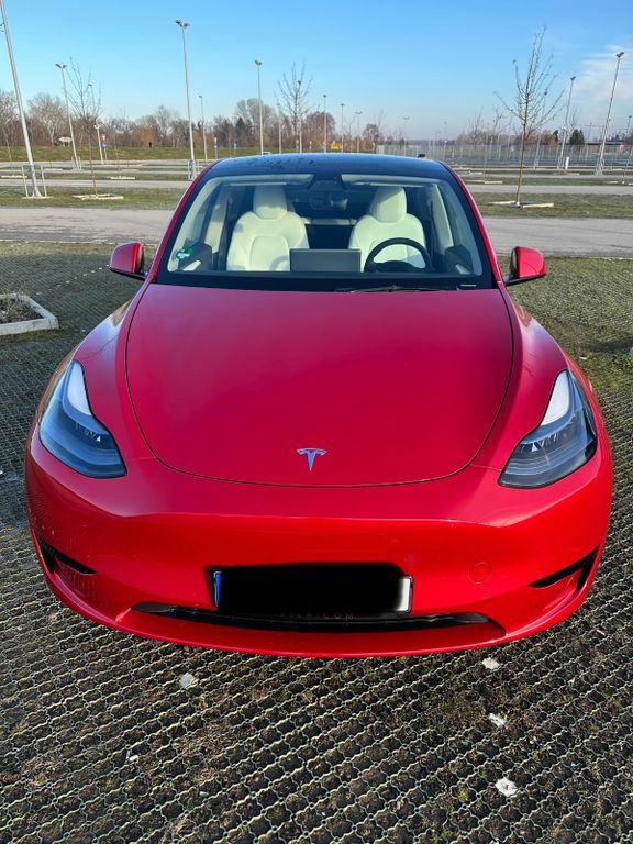 Model Y