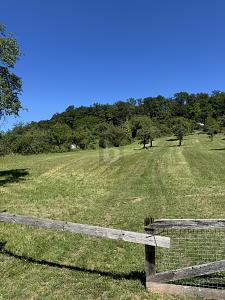 NATURIDYLLE MIT FREIZEITHAUS-OPTION - Grundstück Leonberg | Angebot:27288980
