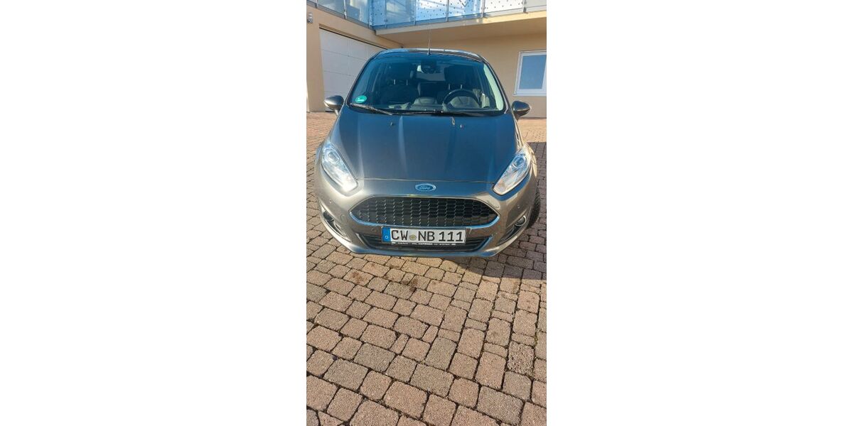Ford Fiesta 110.500 km 6.500 &euro; Unterreichenbach 75399