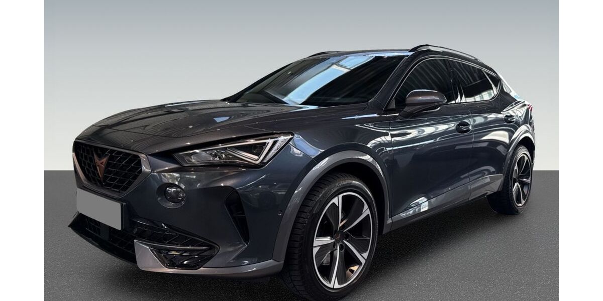 Cupra Formentor 111.193 km 24.990 &euro; Pforzheim 75177