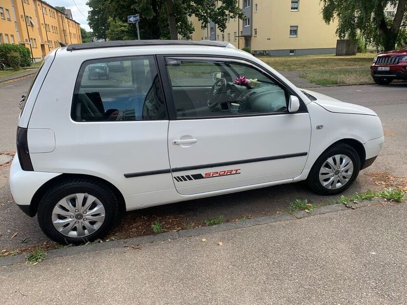 Lupo