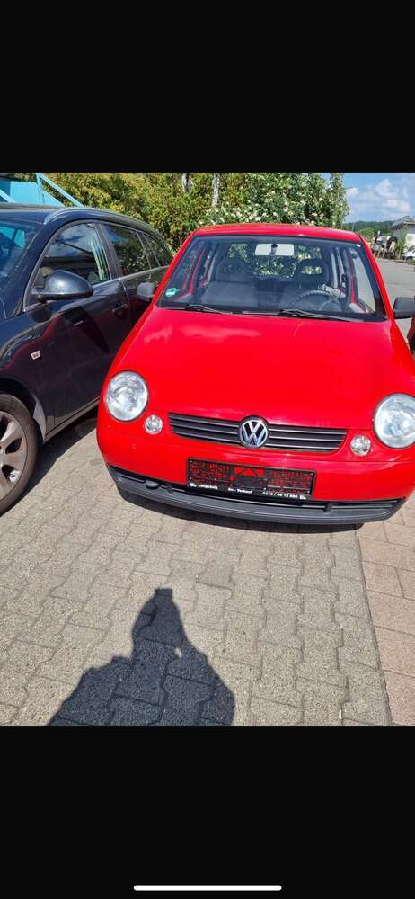 Lupo