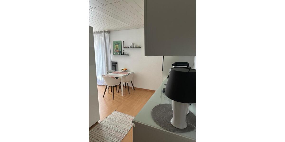 1 Zimmer Wohnung mi Balkon zimmer