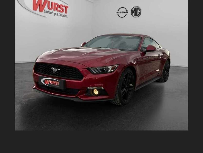 Mustang