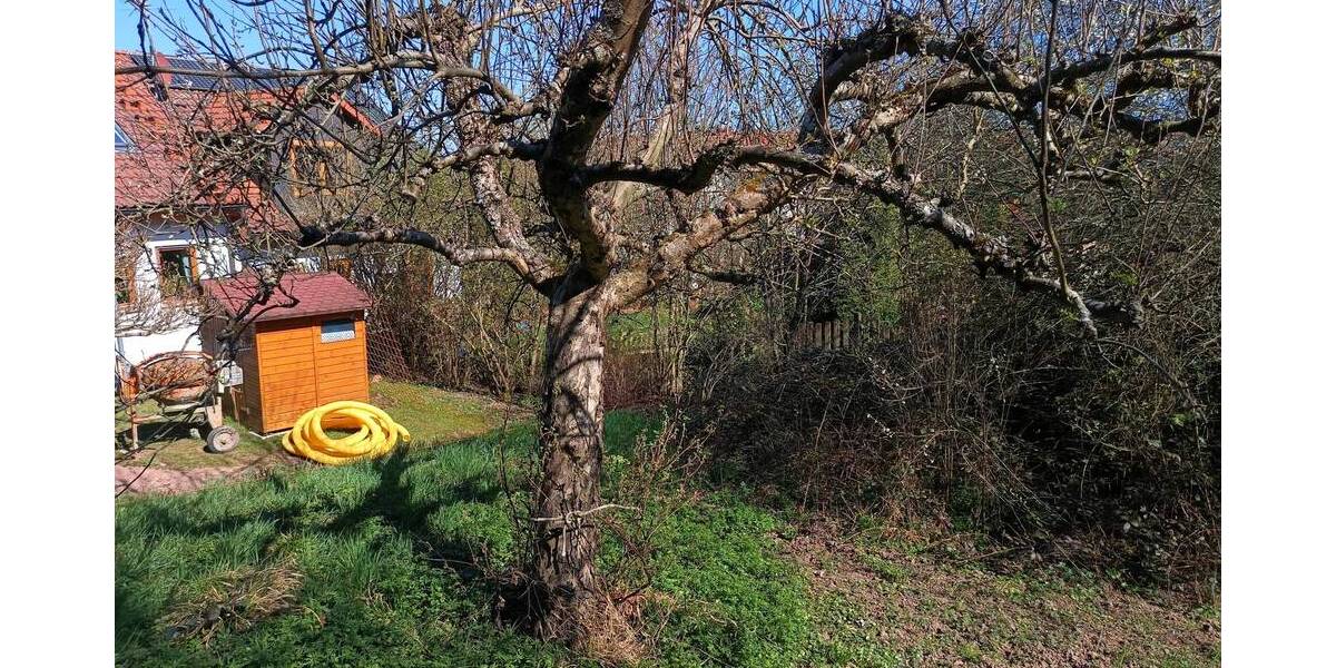 Grundstück Neuhausen (Enz) Neuhausen - 199.000&euro; | Angebot:24029465