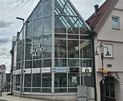 EXTRAVAGANTES GLASHOUSE IN TOP LAGE - Gewerbeobjekt Leonberg | Angebot:24654262