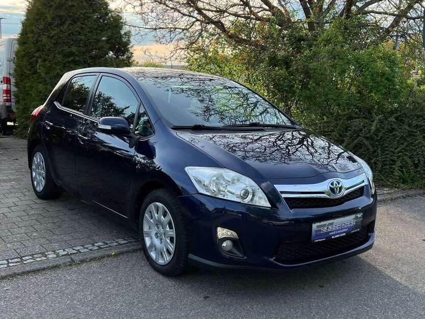 Auris