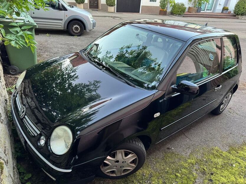 Lupo