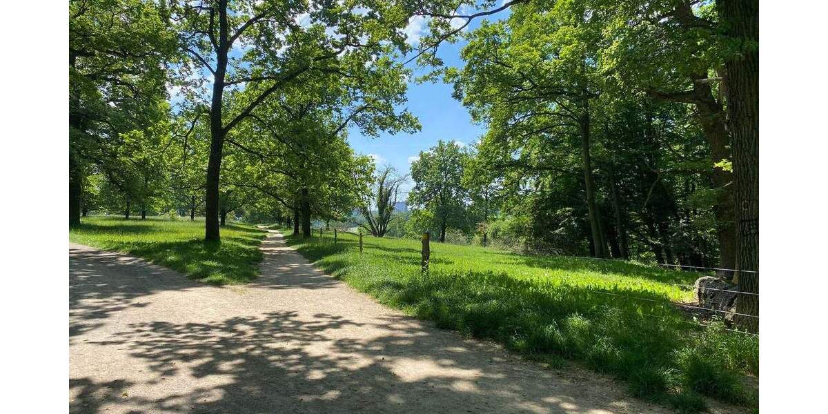 Grundstück Stuttgart Riedenberg - 950.000&euro; | Angebot:24452262