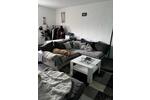 3 Zimmer Wohnung zu vermieten