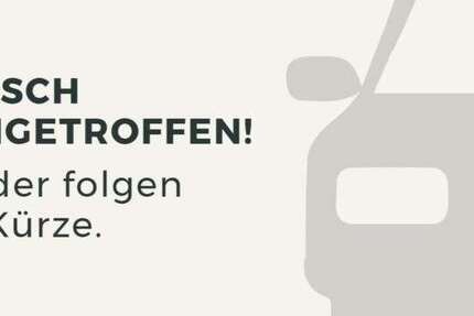Opel Vivaro 166.761 km 17.990 € Herrenberg 71083